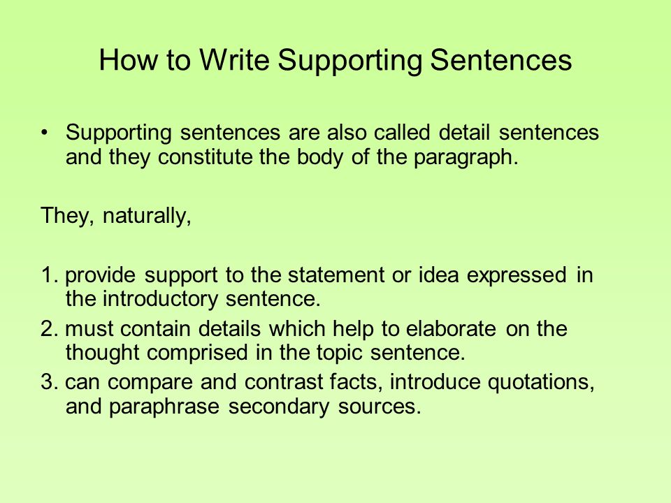 What types of paragraphs comprise the body of an essay